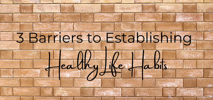 3 Barriers to Establishing Healthy Life Habits